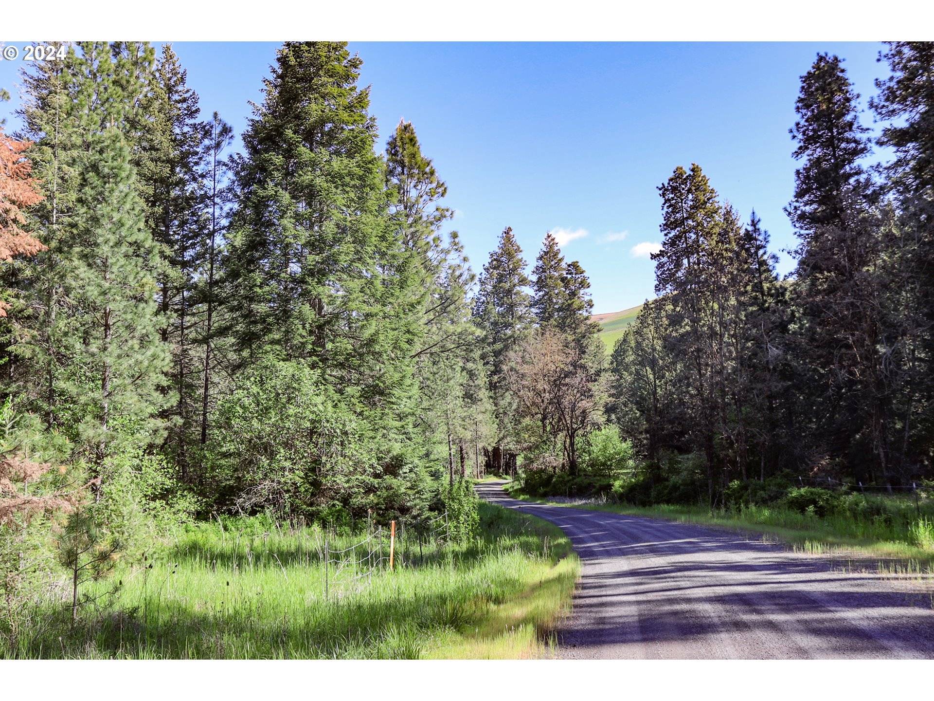 332 Wolf Fork Road Dayton, WA 99328 - Photo 25 of 27