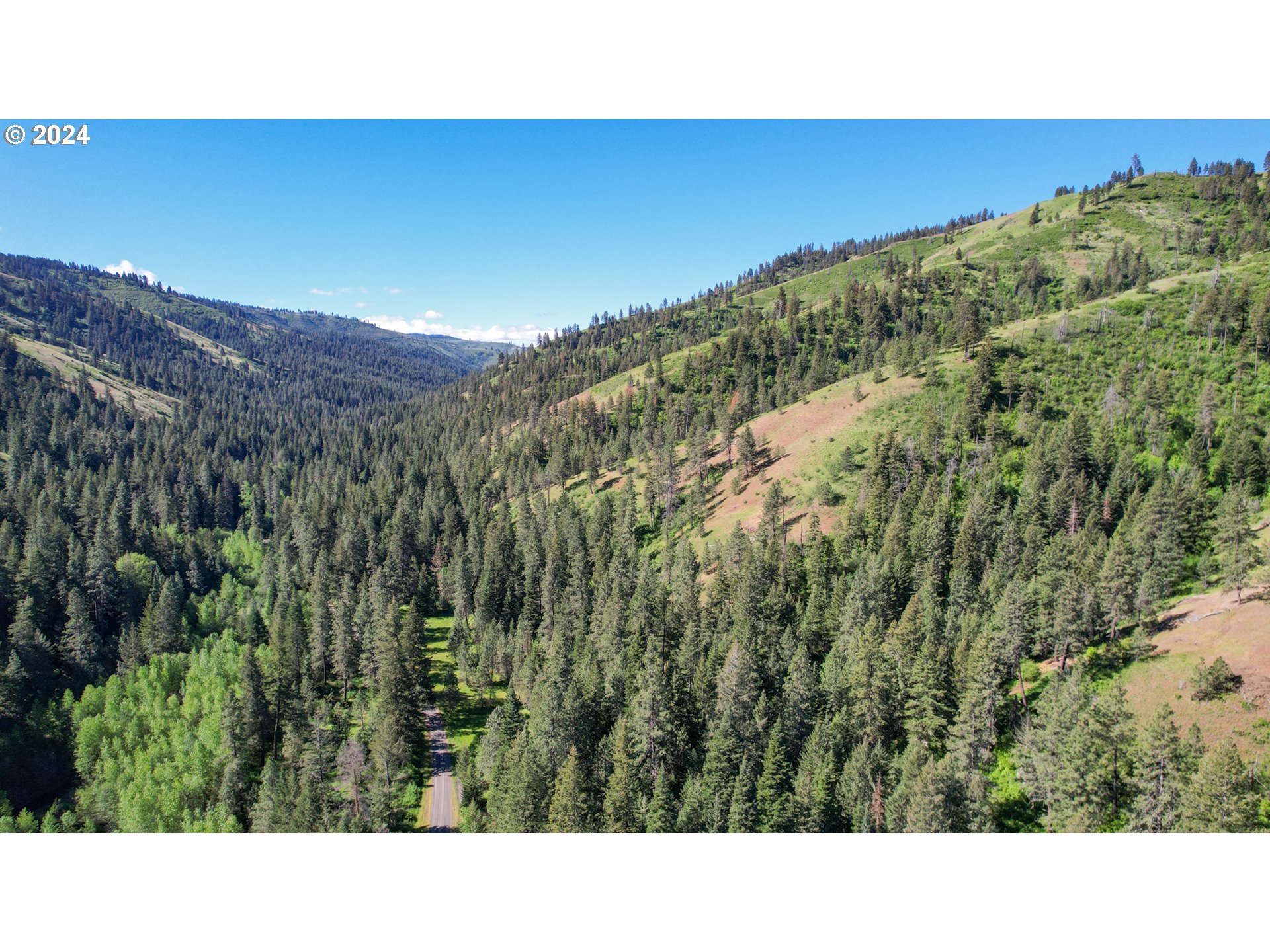 332 Wolf Fork Road Dayton, WA 99328 - Photo 7 of 27