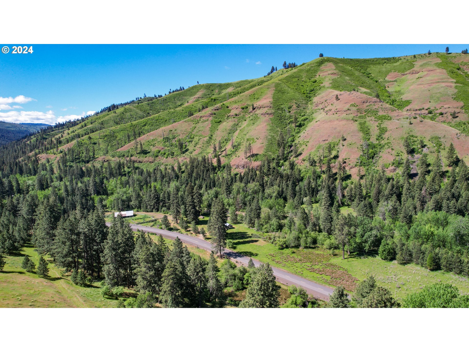 332 Wolf Fork Road Dayton, WA 99328 - Photo 10 of 27