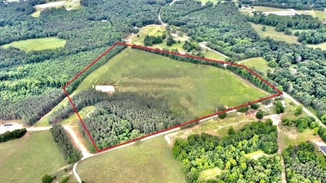 a view of a garden with a lake view