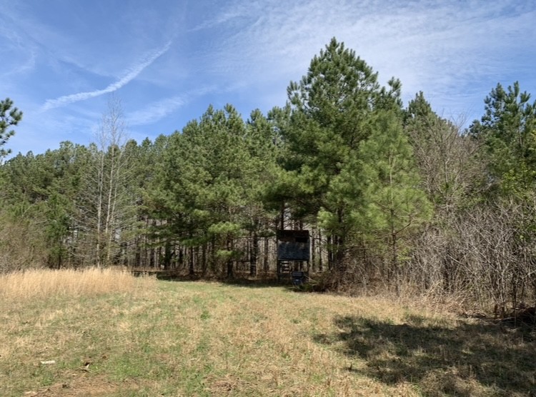 0 Little Texas Road Goodspring, TN 38460 - Photo 16 of 48