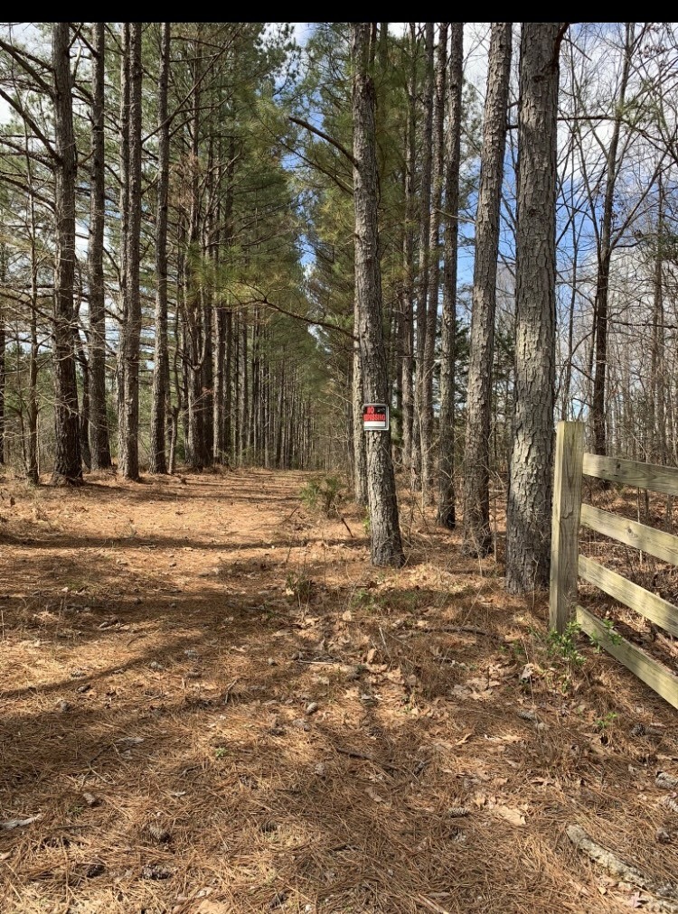 0 Little Texas Road Goodspring, TN 38460 - Photo 33 of 48