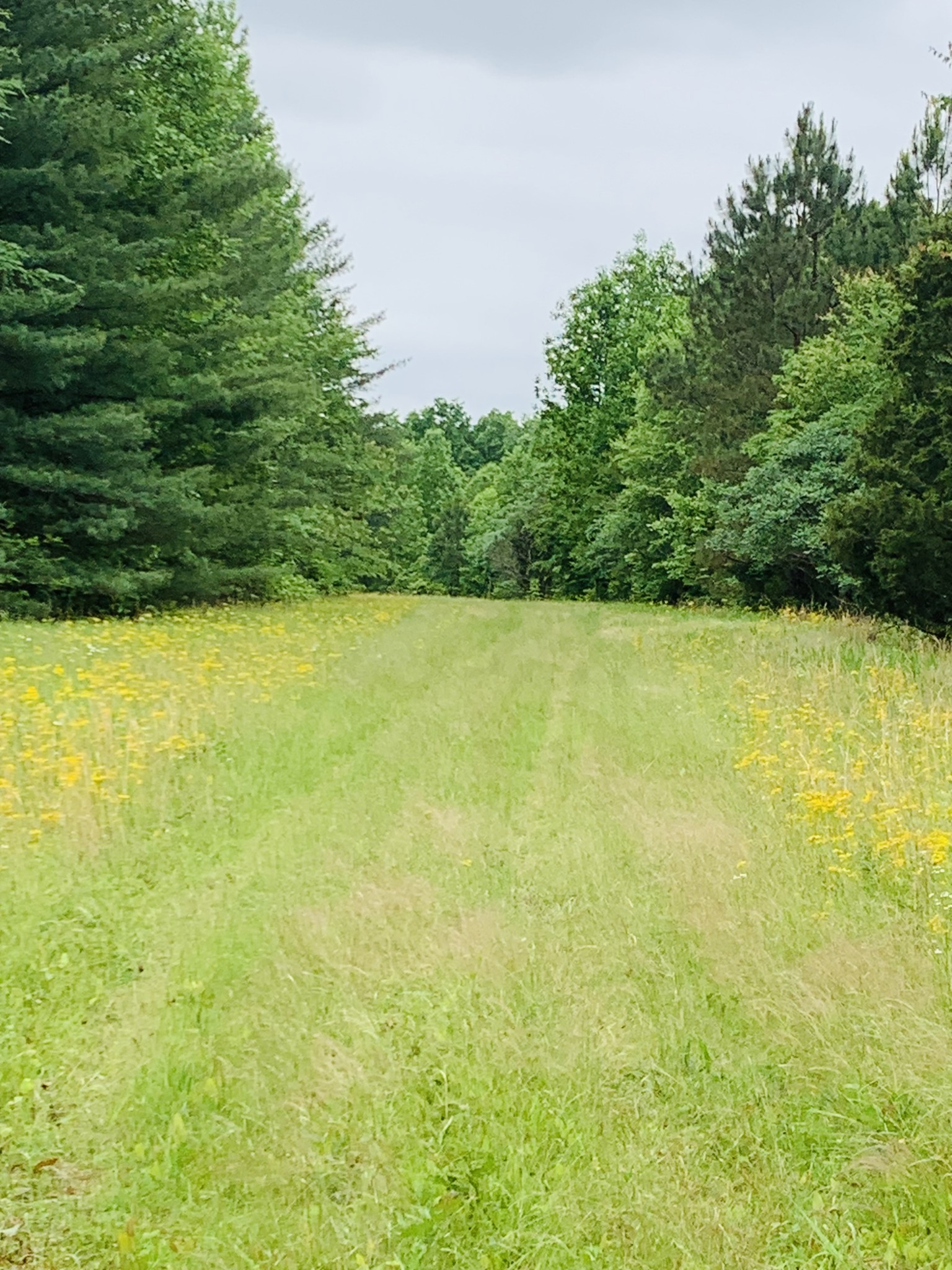 0 Little Texas Road Goodspring, TN 38460 - Photo 46 of 48