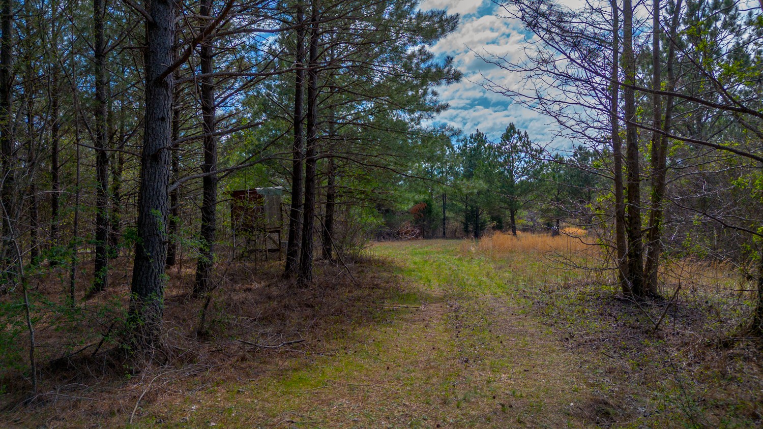 0 Little Texas Road Goodspring, TN 38460 - Photo 9 of 48