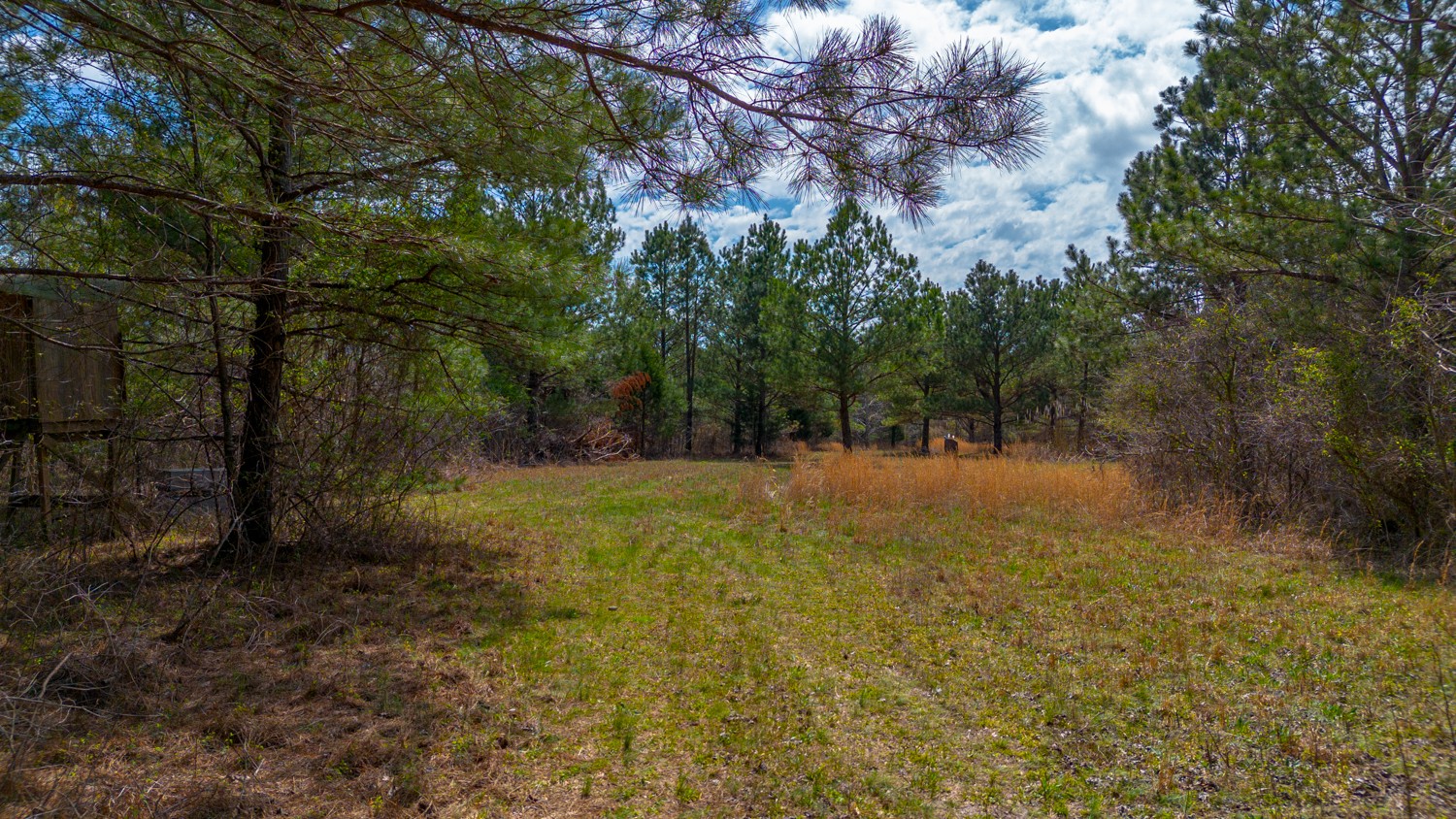 0 Little Texas Road Goodspring, TN 38460 - Photo 10 of 48