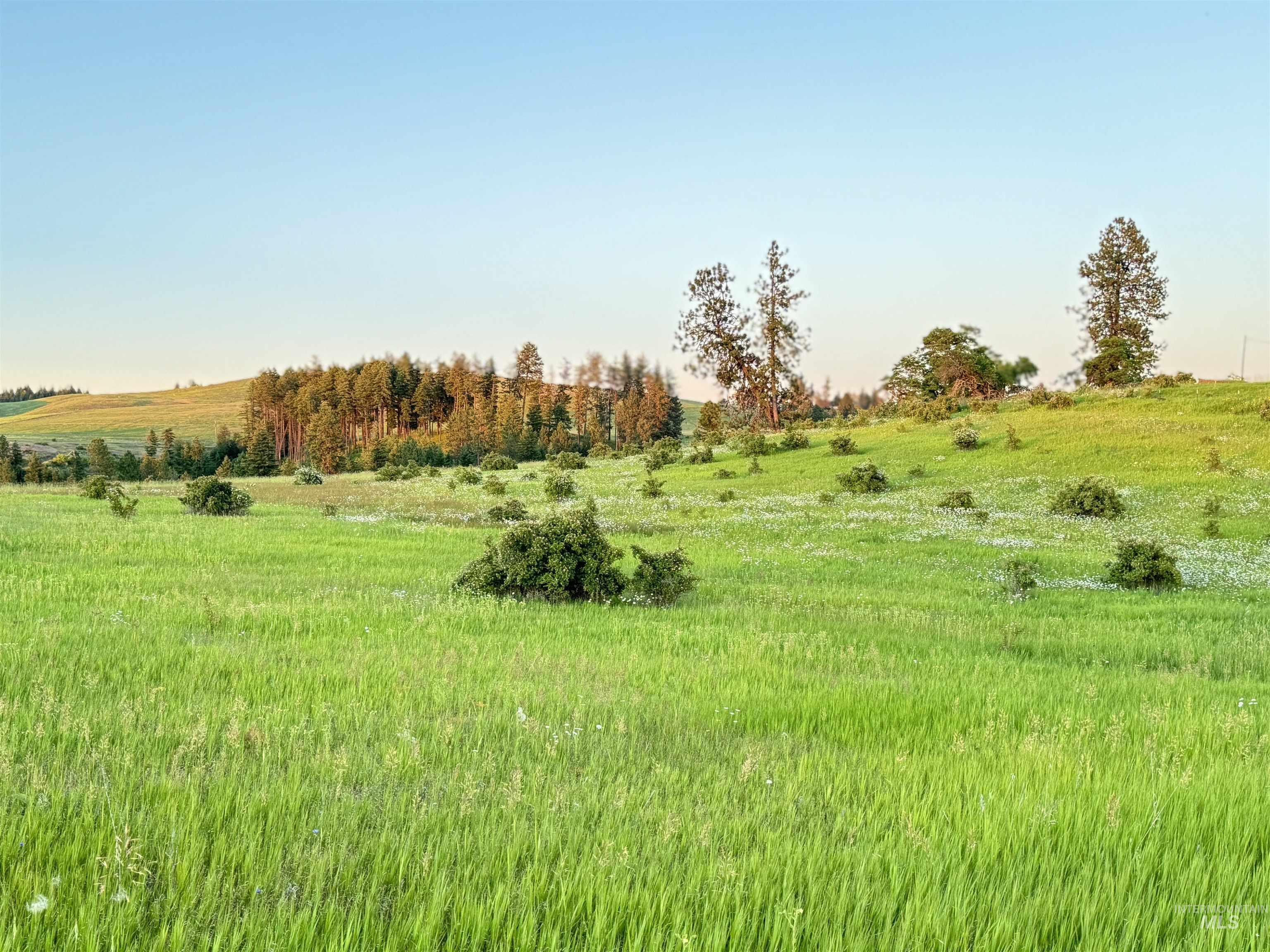 Tbd-17-acres Beaverslide Road Kamiah, ID 83536 - Photo 1 of 22