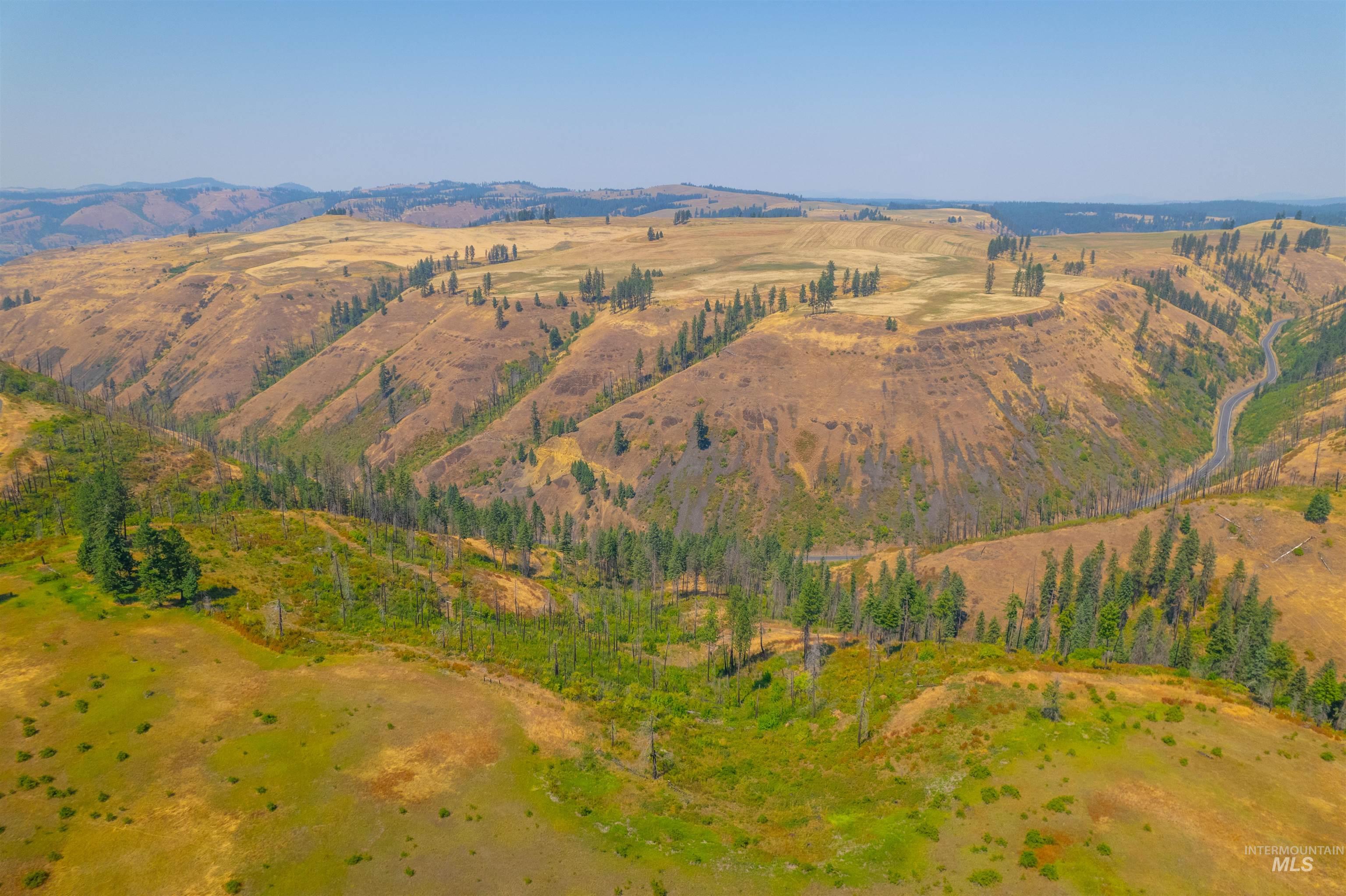 Tbd-17-acres Beaverslide Road Kamiah, ID 83536 - Photo 11 of 22