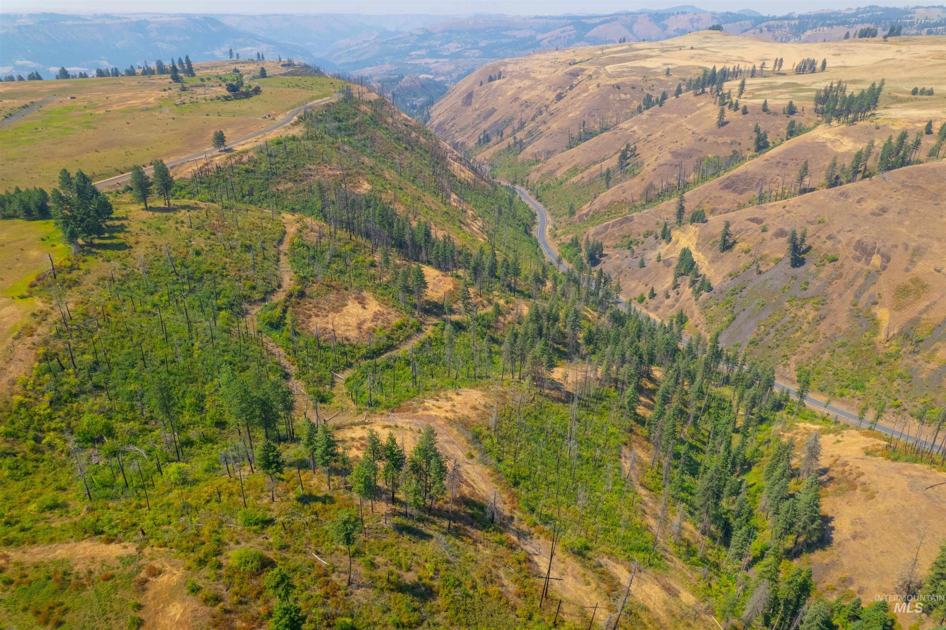 Tbd-17-acres Beaverslide Road Kamiah, ID 83536 - Photo 15 of 22