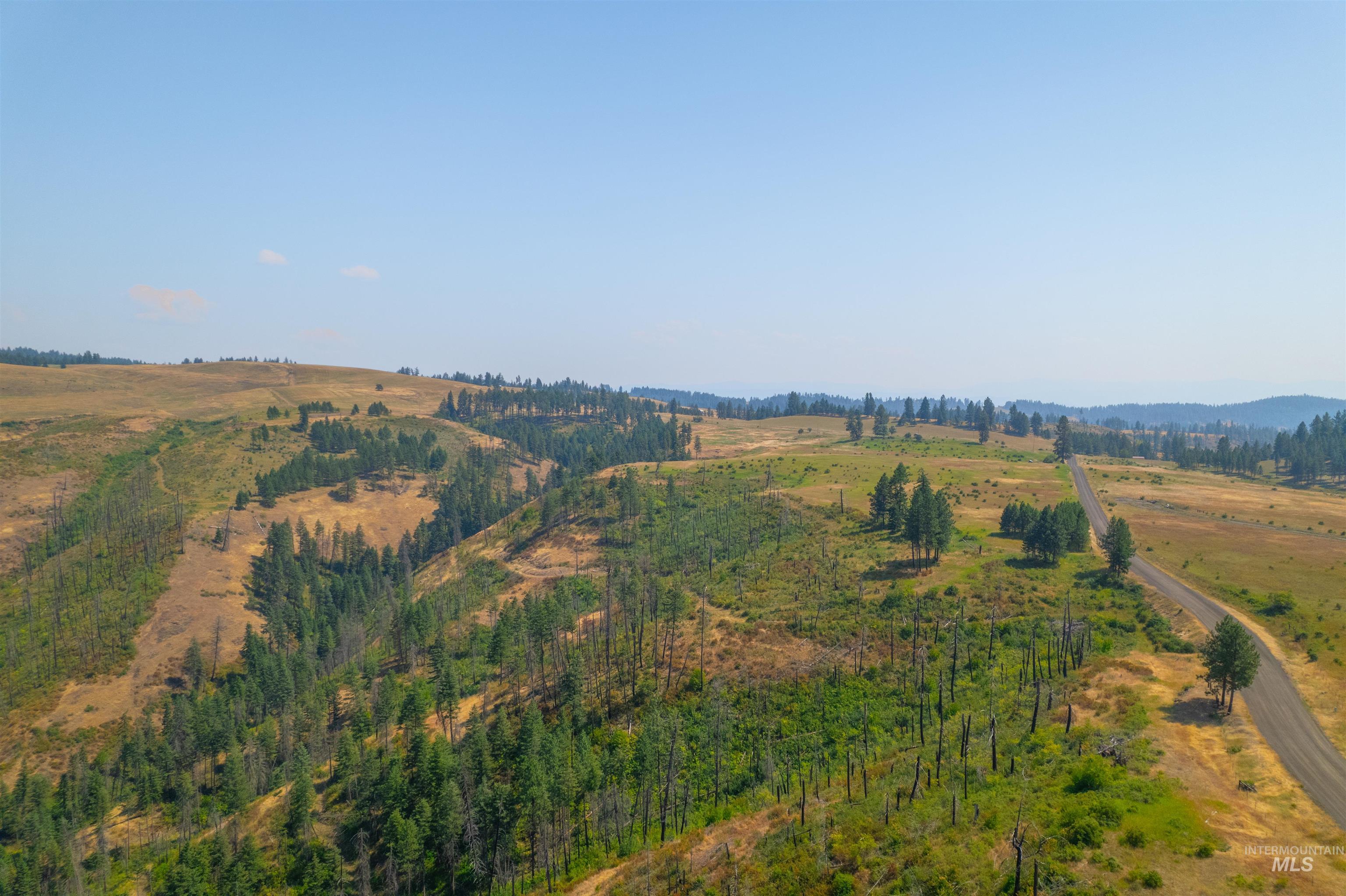 Tbd-17-acres Beaverslide Road Kamiah, ID 83536 - Photo 19 of 22