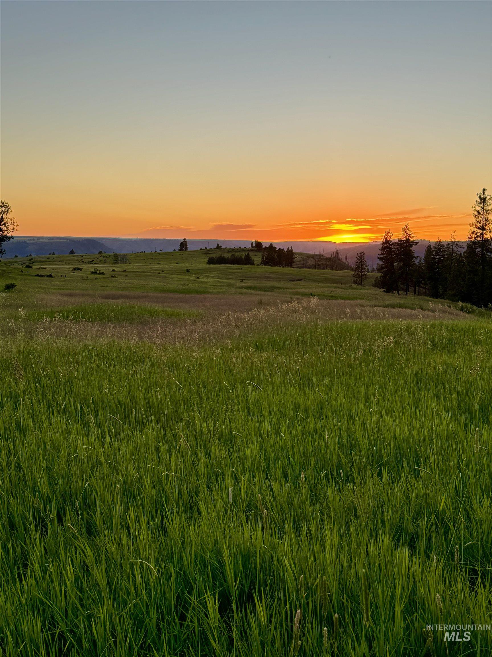 Tbd-17-acres Beaverslide Road Kamiah, ID 83536 - Photo 21 of 22