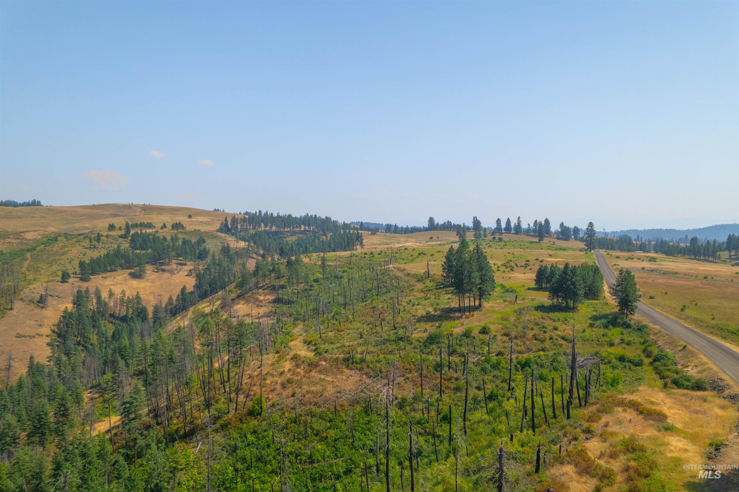 Tbd-17-acres Beaverslide Road Kamiah, ID 83536 - Photo 3 of 22