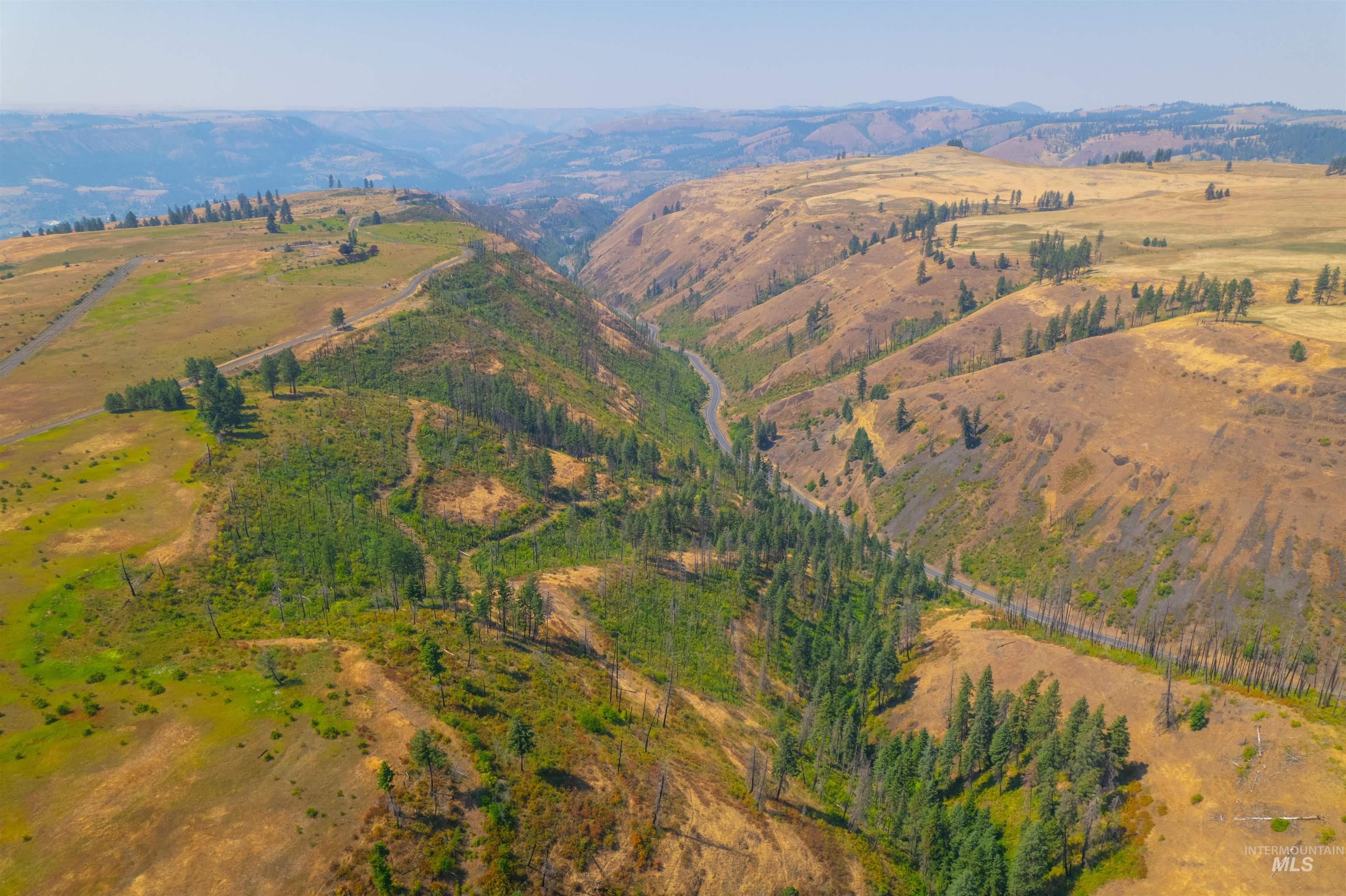 Tbd-17-acres Beaverslide Road Kamiah, ID 83536 - Photo 8 of 22