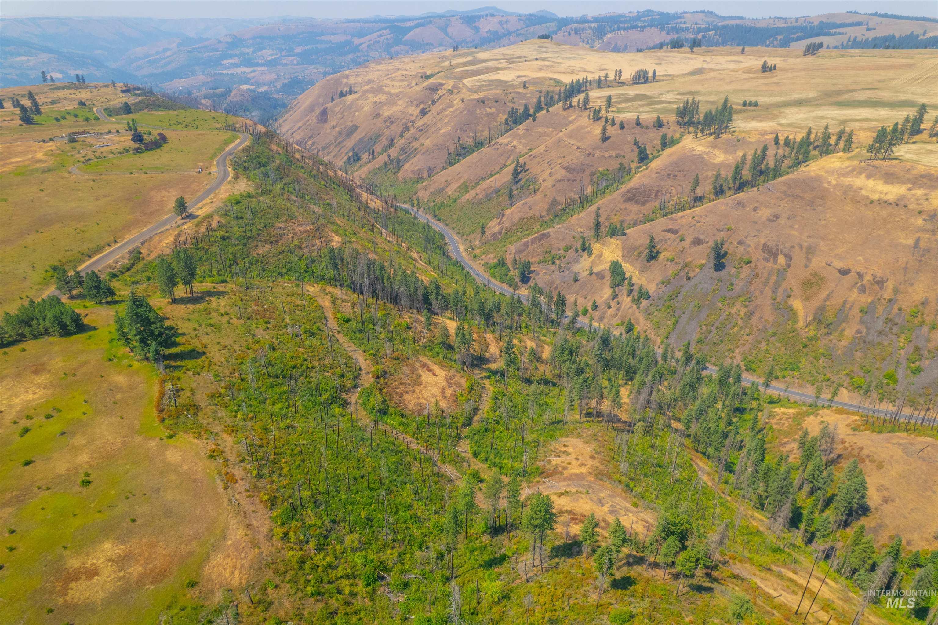 Tbd-17-acres Beaverslide Road Kamiah, ID 83536 - Photo 10 of 22