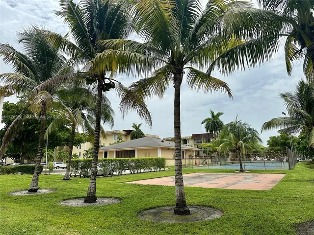 a view of a park with palm trees