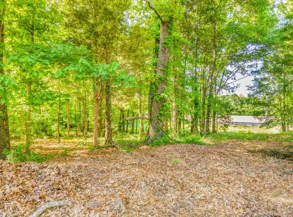 a view of backyard with green space