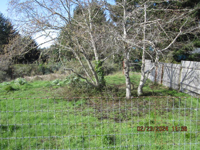 209 Spring Road Shelter Cove, CA 95589 - Photo 12 of 27 IMG_4470