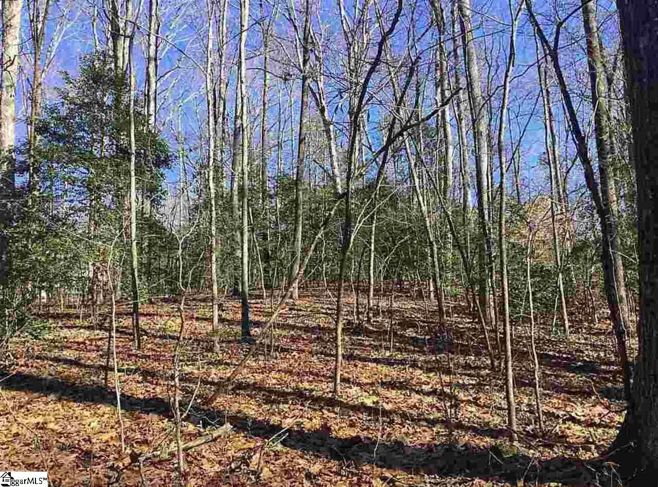 0 Waters Road Taylors, SC 29687 - Photo 2 of 4 Gallery Image 2