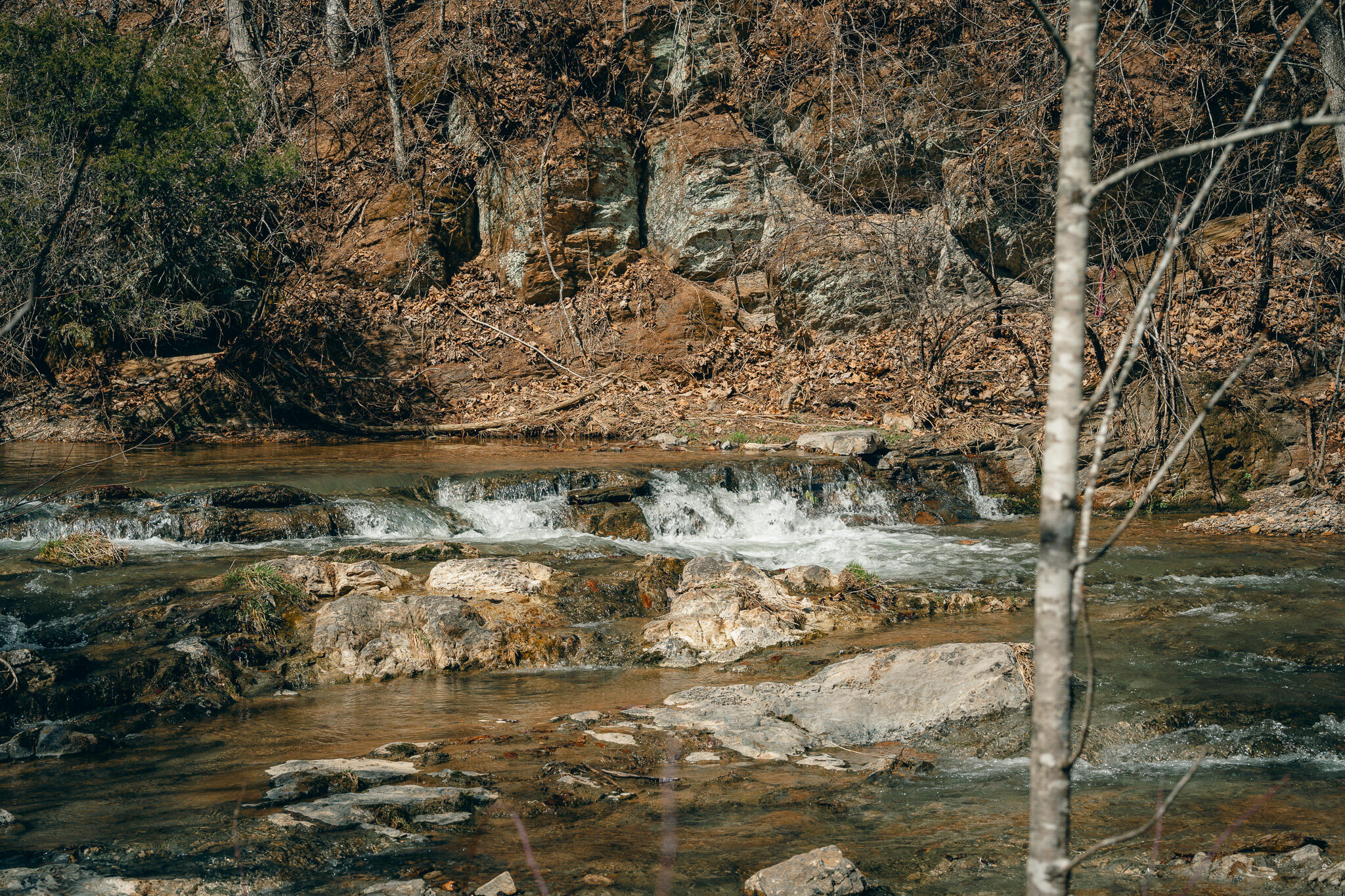 797 Elliott Creek Road Riner, VA 24149 - Photo 13 of 15 Warren pic 3