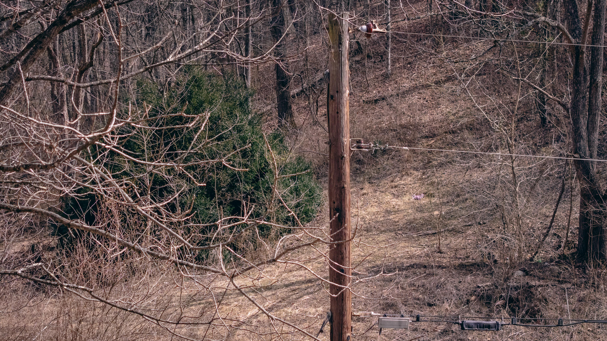 797 Elliott Creek Road Riner, VA 24149 - Photo 4 of 15 Warren pic 12
