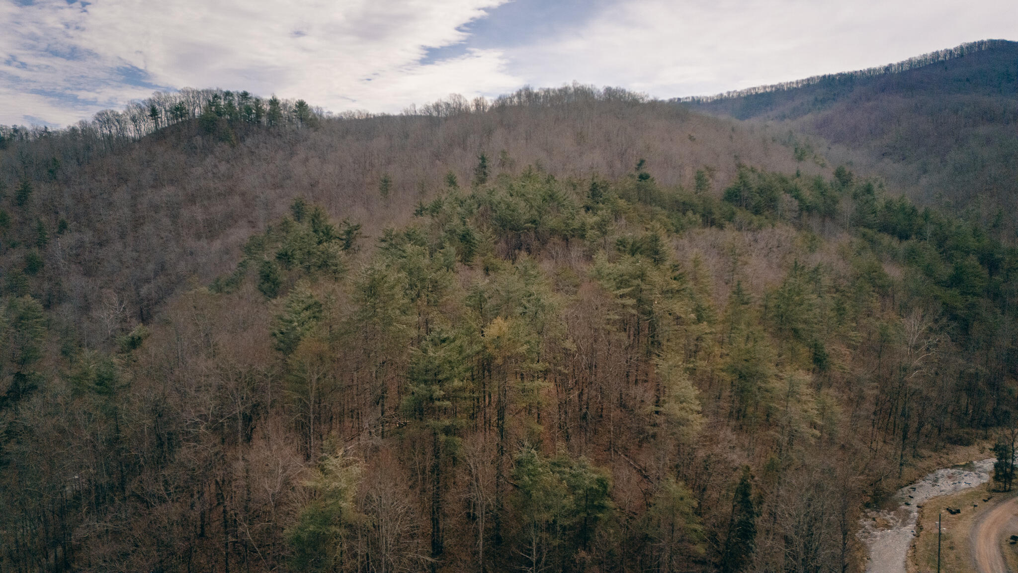 797 Elliott Creek Road Riner, VA 24149 - Photo 6 of 15 Warren pic 10