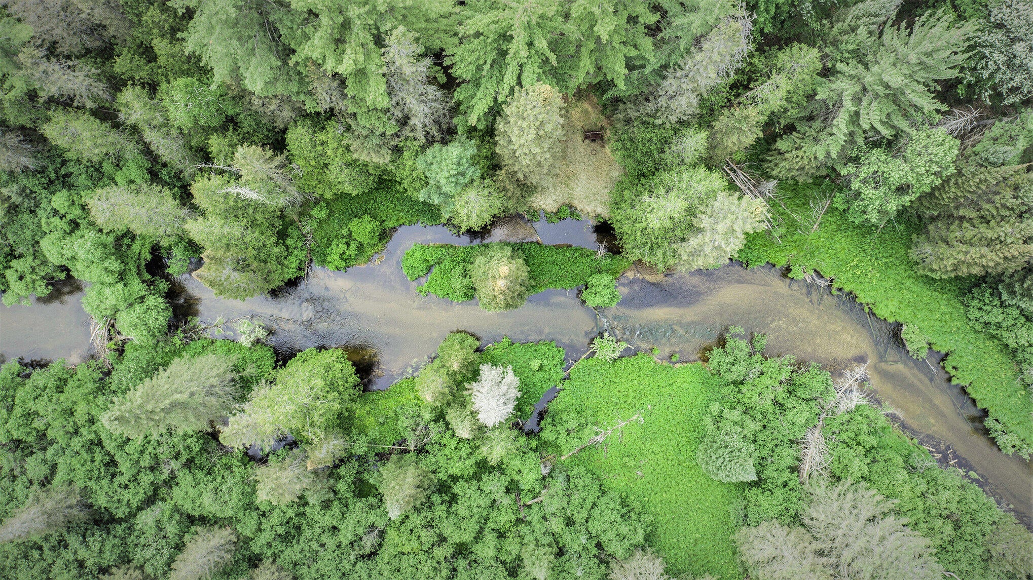 8110 Nature Ridge Trail Vanderbilt, MI 49795 - Photo 17 of 19 Gallery Image 17