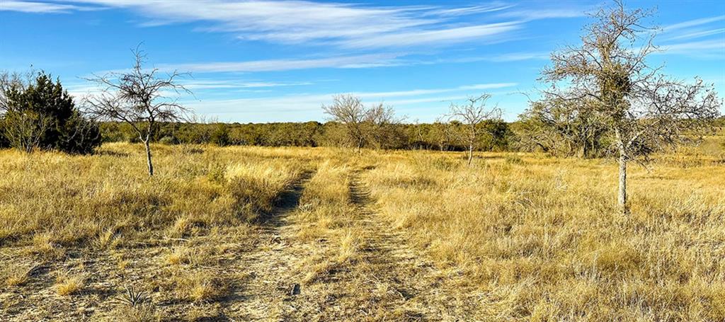 -tract 19 165 County Road Blanket, TX 76474 - Photo 2 of 3