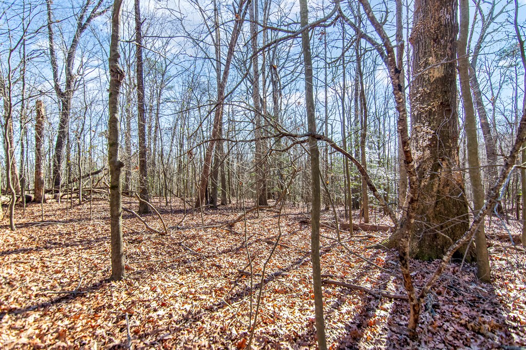 6-acres 6-acres Flat Creek Road Blue Ridge, GA 30513 - Photo 3 of 16 Gallery Image 3