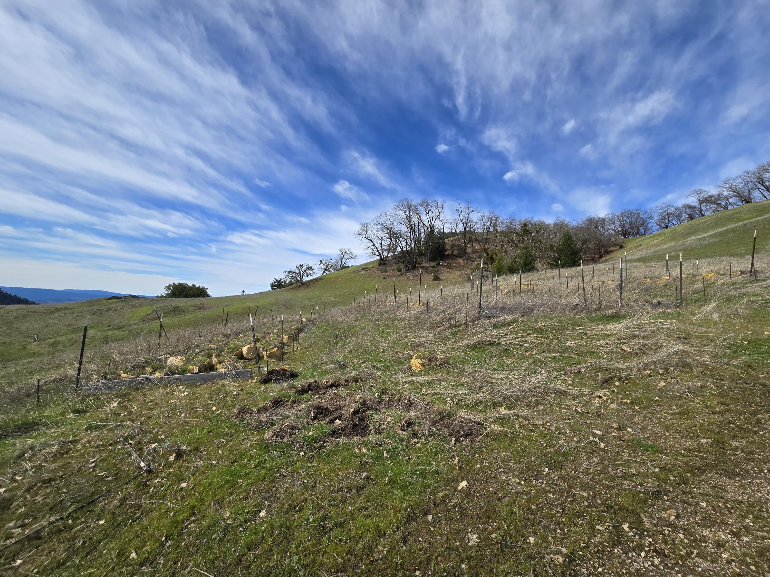 495 Wool Mountain Road Zenia, CA 95595 - Photo 11 of 23