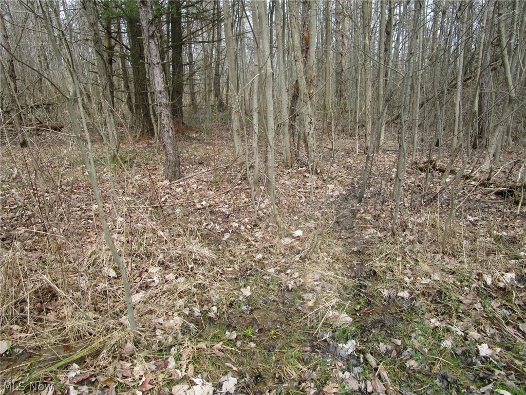 4381 Higley Road Rome, OH 44085 - Photo 20 of 41