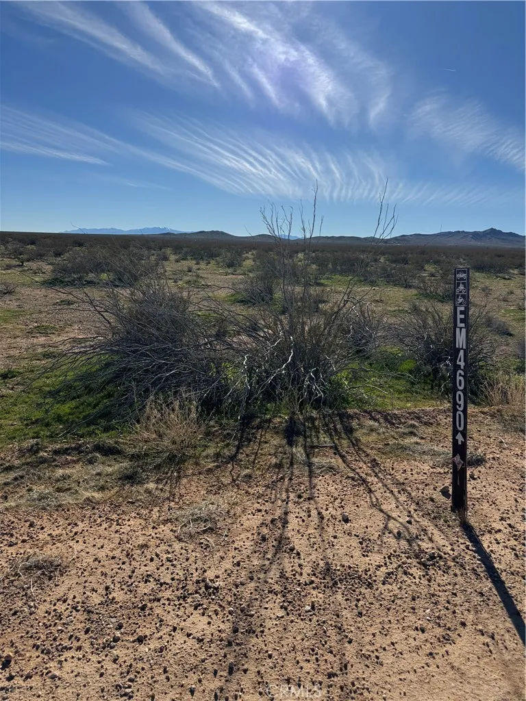 a view of a yard with wooden fence
