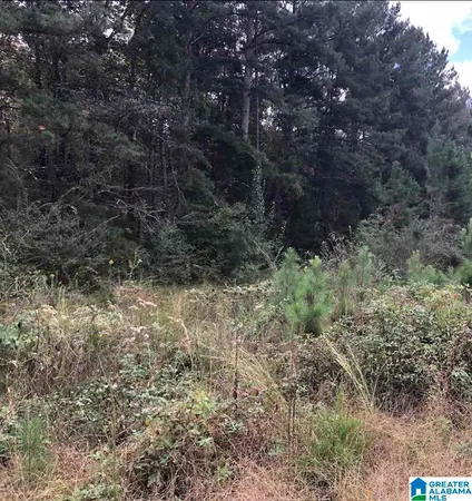 $35,000 | Thomaston Road, Unit 34, Lincoln, AL 35096