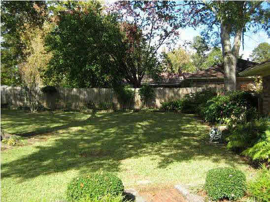127 Fern Valley Road Brandon, MS 39042 - Photo 8 of 9 gorgeous backyard