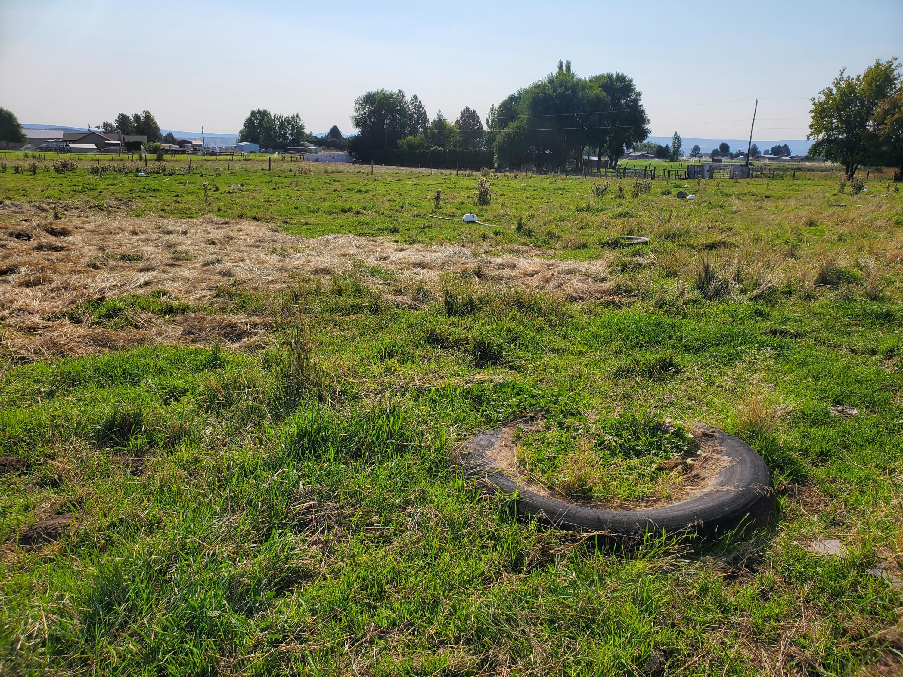 7552 Edwards Road Prineville, OR 97754 - Photo 10 of 18 Pasture