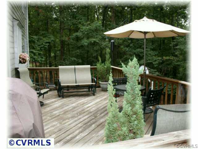 13611 Trilithon Road Midlothian, VA 23113 - Photo 8 of 10 Other