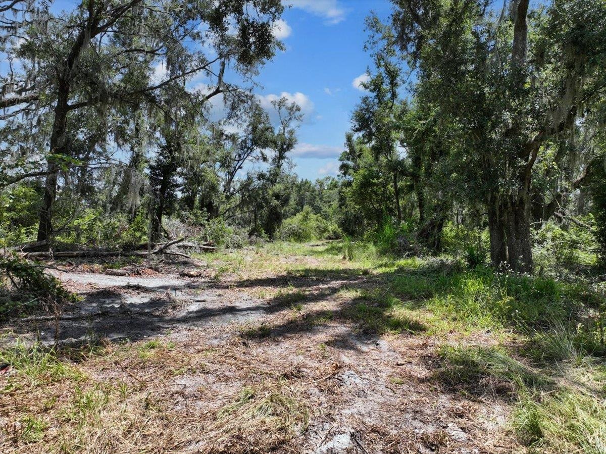 5582 H P Red Padgett Road Perry, FL 32348 - Photo 4 of 12