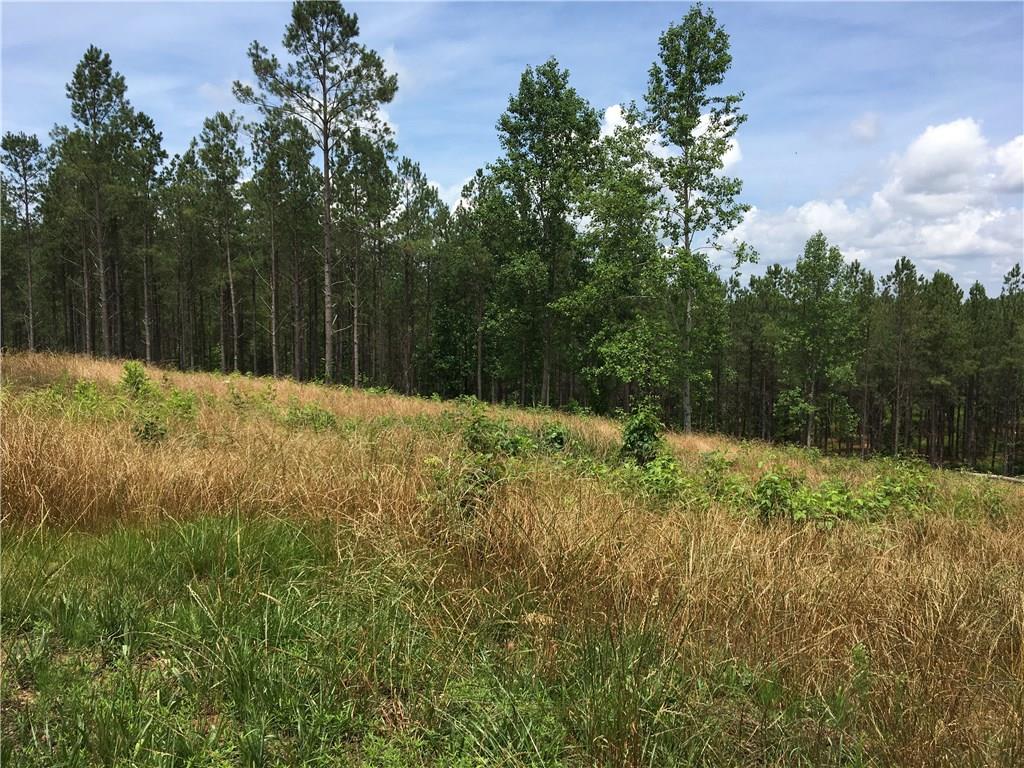 3301 Pleasant Arbor Road Waleska, GA 30183 - Photo 1 of 1 Gallery Image 1