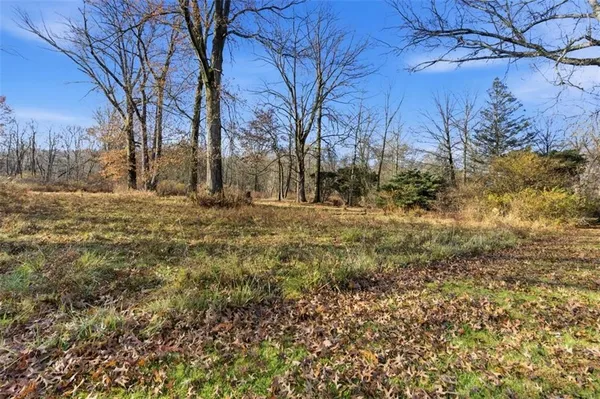 a view of dirt yard with a tree