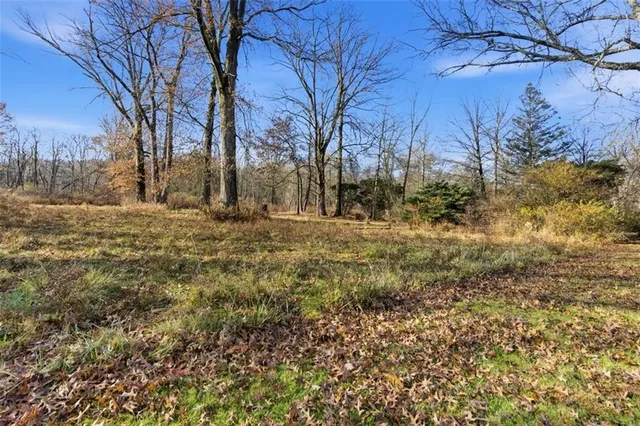a view of dirt yard with a tree