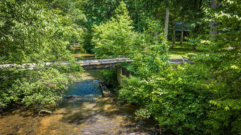 2977 Highway 2 Blue Ridge, GA 30513 - Photo 50 of 89