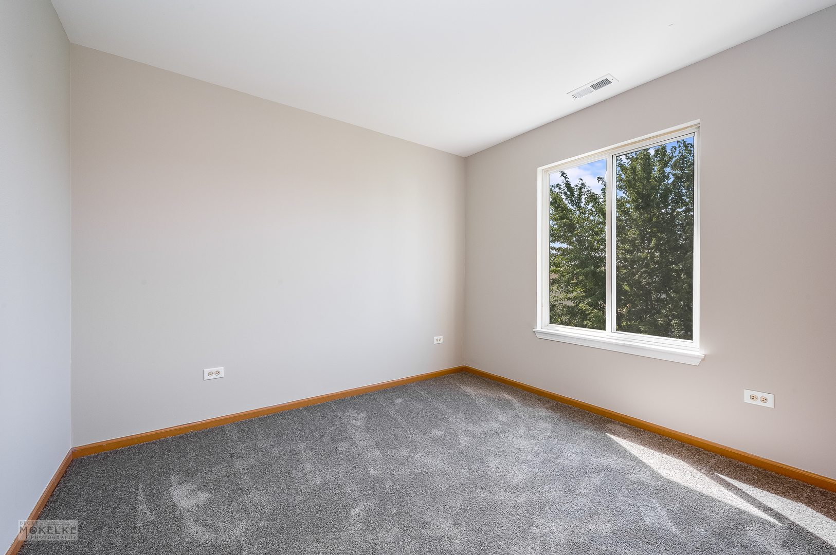 4212 Dillon Street Plano, IL 60545 - Photo 22 of 26 an empty room with a window