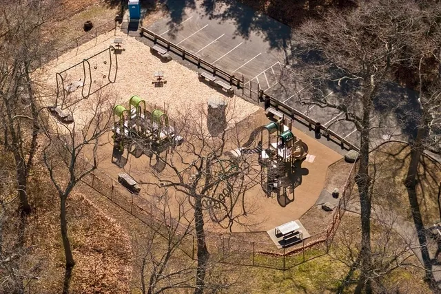 a view of a tree with a yard