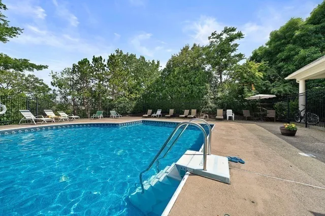 a view of a backyard with lawn chairs potted plants and a large tree