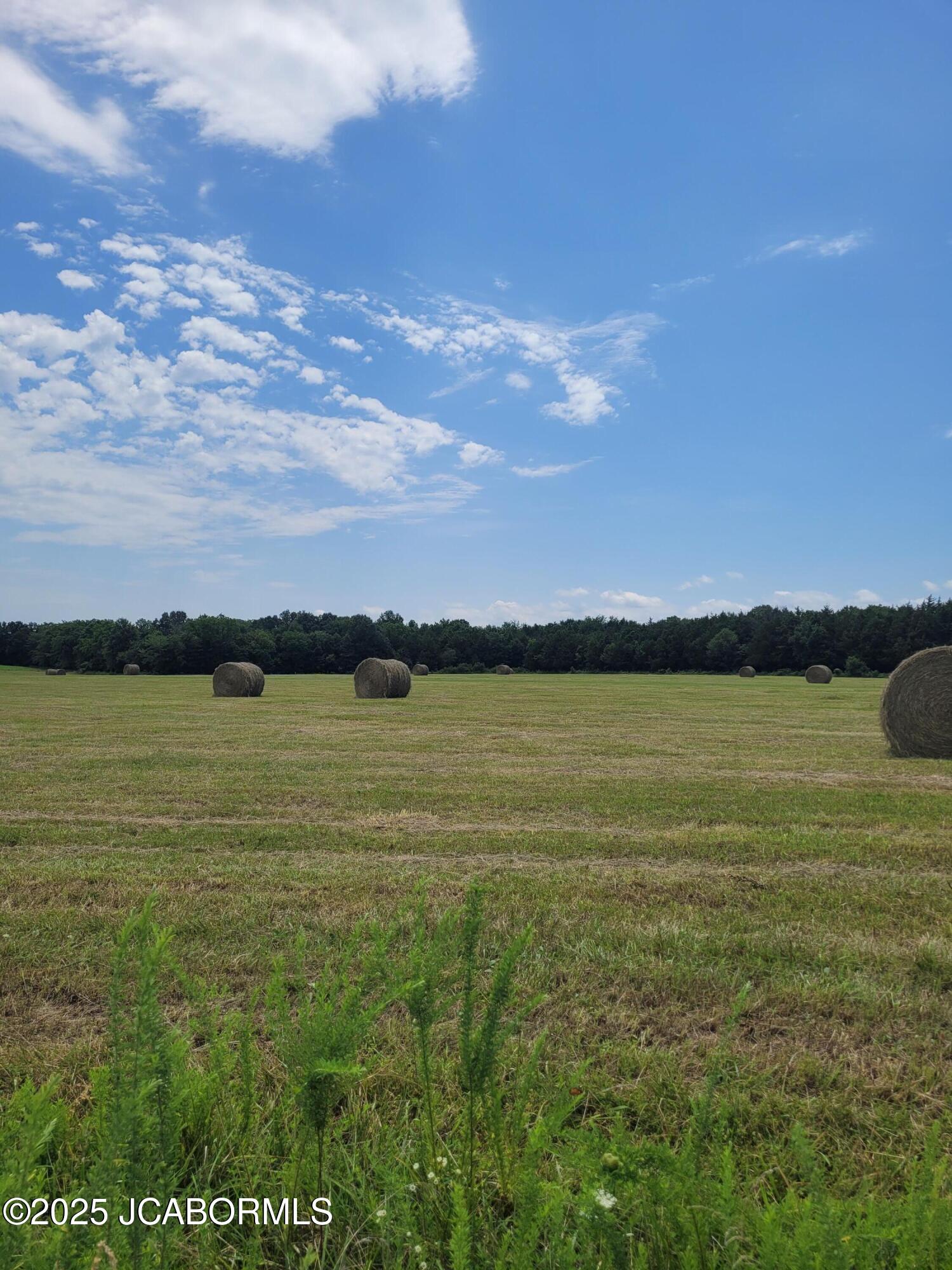 Lot 3 Co Road Flemington, MO 65650 - Photo 6 of 8