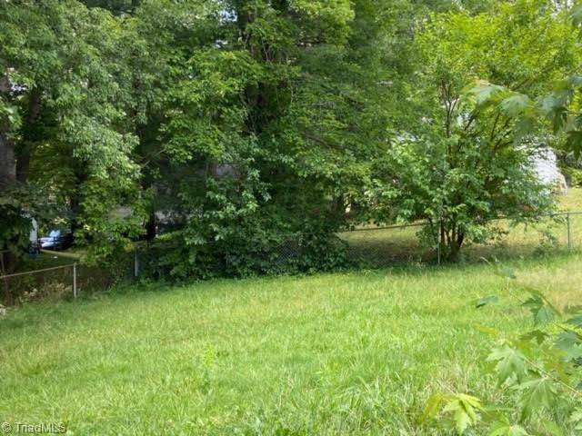 335 Leonard Road Mount Airy, NC 27030 - Photo 23 of 25 Large back yard