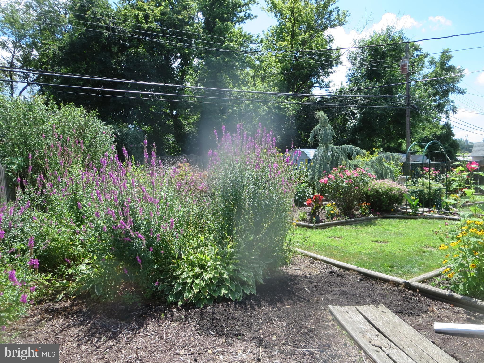 52 Hollow Road Levittown, PA 19056 - Photo 18 of 51 Exterior Rear Landscaping