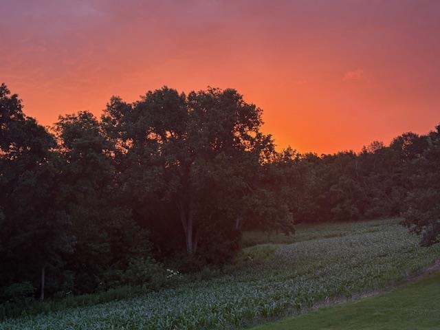 54098 Rounds Road Gays Mills, WI 54631 - Photo 51 of 54