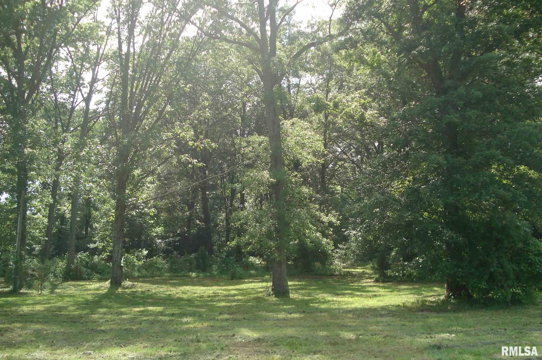 203 North Spillertown Road Marion, IL 62959 - Photo 3 of 13