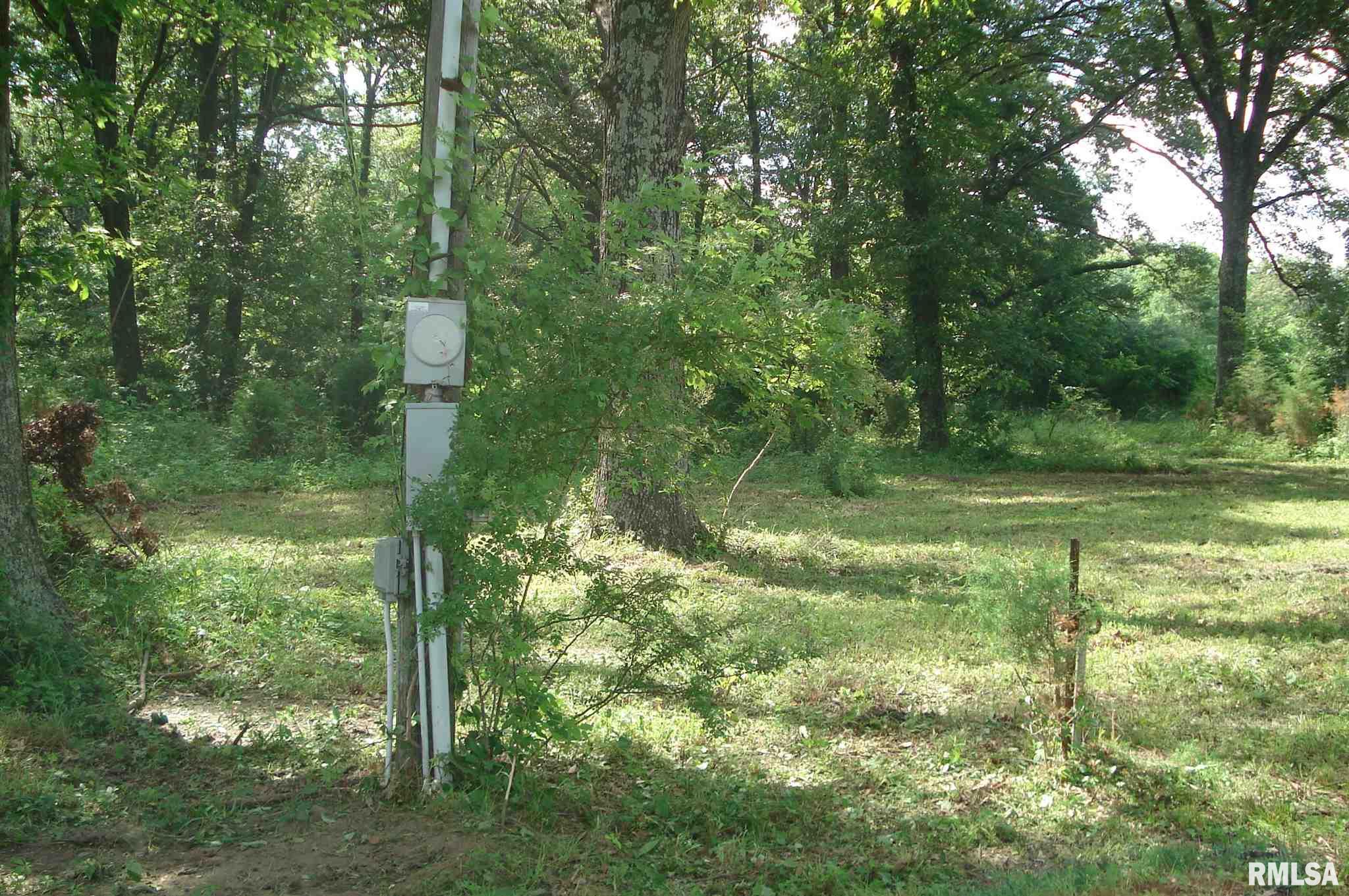 203 North Spillertown Road Marion, IL 62959 - Photo 6 of 13
