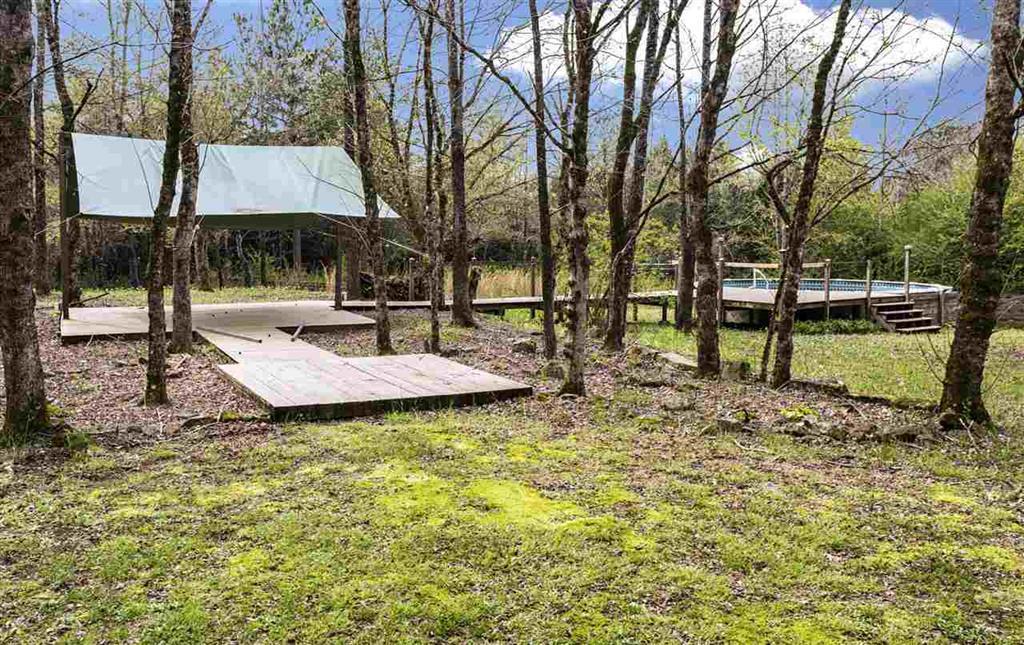 790 Mars Hill Road Spring City, TN 37381 - Photo 33 of 37 33