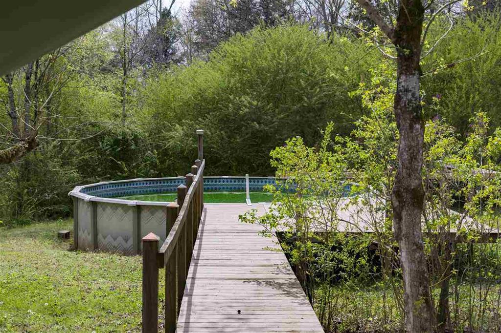 790 Mars Hill Road Spring City, TN 37381 - Photo 34 of 37 34